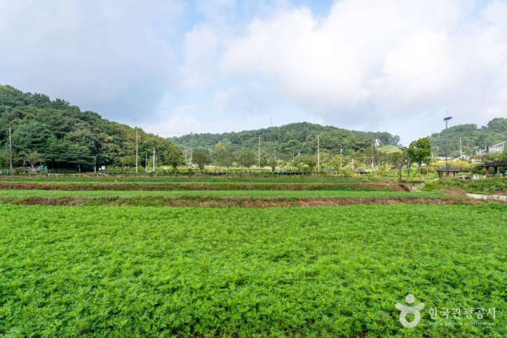 장동만남공원 여행 추천 - 메고지고