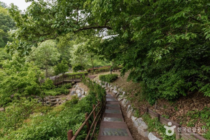 우면산자연생태공원 여행 추천 - 메고지고