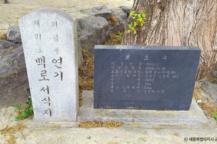 금남 백로 서식지 여행 추천 - 메고지고