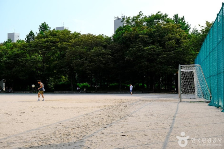 노해체육공원 여행 추천 - 메고지고