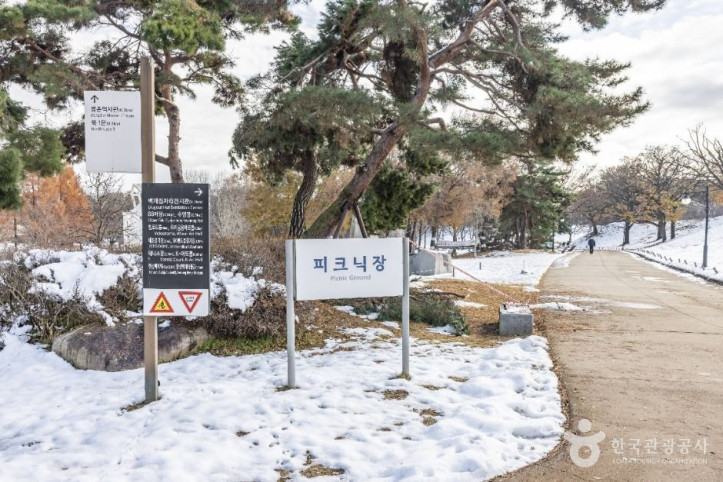 올림픽공원피크닉장 여행 추천 - 메고지고