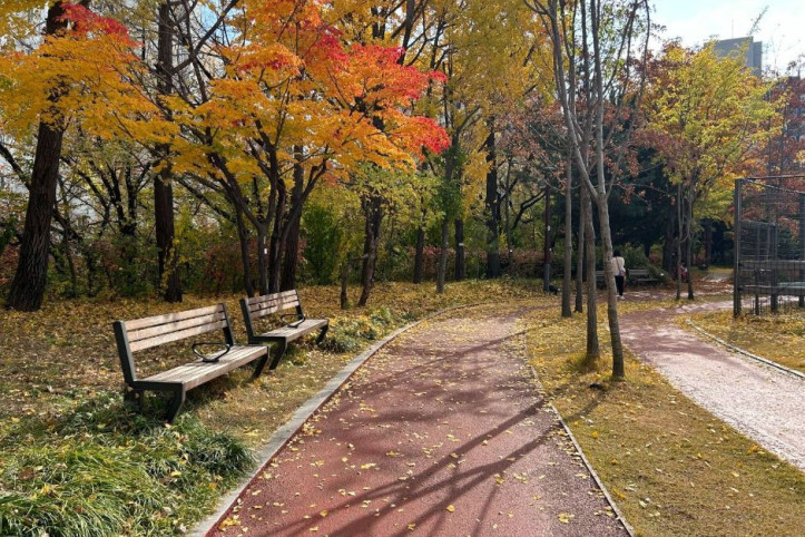 손기정체육공원 여행 추천 - 메고지고