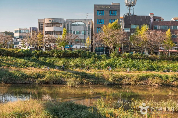 갑천 여행 추천 - 메고지고