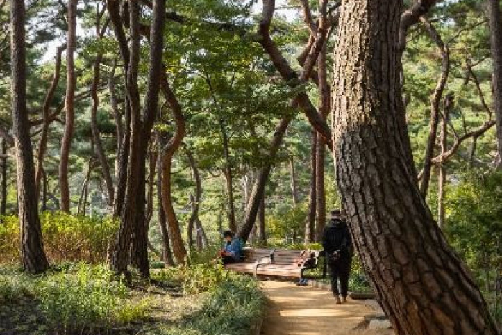 아차산 여행 추천 - 메고지고