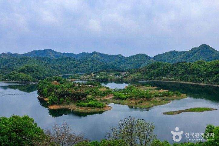 옥정호 출렁다리 및 붕어섬생태공원 여행 추천 - 메고지고