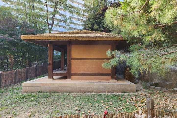 비우당 여행 추천 - 메고지고