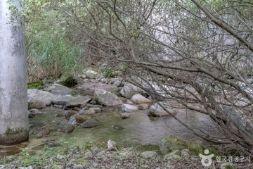 조경철천문대 여행 추천 - 메고지고