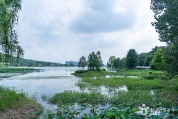 국립 망향의 동산 여행 추천 - 메고지고