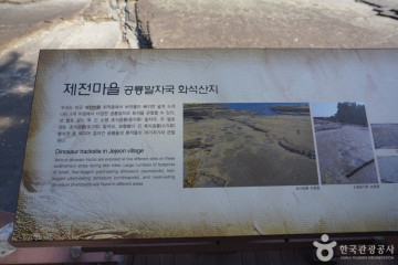 고성 덕명리 공룡발자국과 새발자국 화석산지 여행 추천 - 메고지고