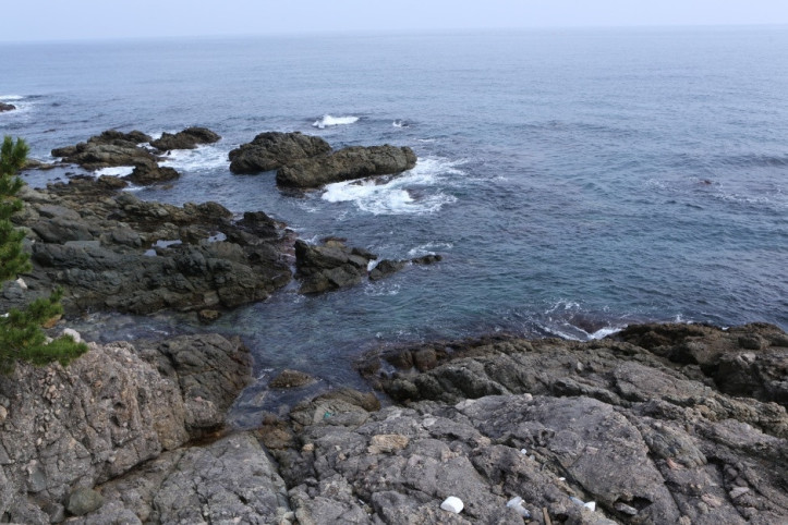 영덕 대부정합 (경북 동해안 국가지질공원) 여행 추천 - 메고지고