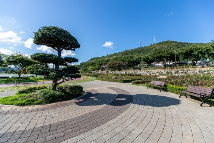 삼척장미공원 여행 추천 - 메고지고