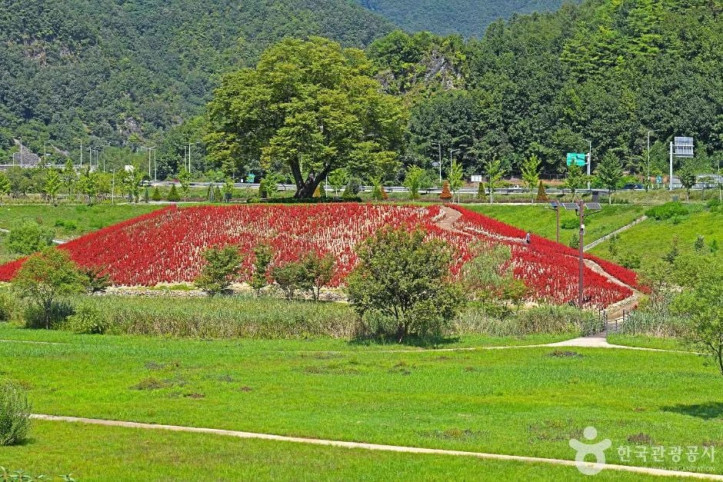 강변저류지 여행 추천 - 메고지고