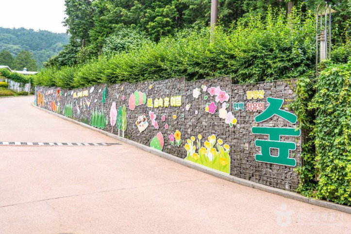 팔영산 편백 치유의 숲 여행 추천 - 메고지고