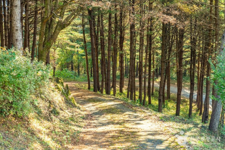 노산성 여행 추천 - 메고지고