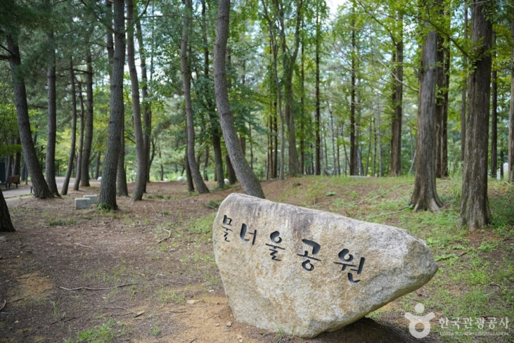 물너울공원 여행 추천 - 메고지고
