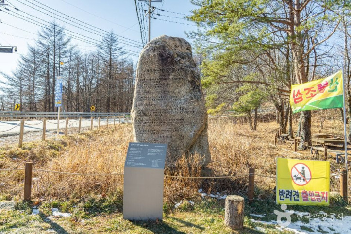 만항재 여행 추천 - 메고지고