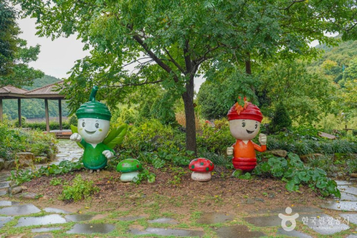 완도수목원 여행 추천 - 메고지고