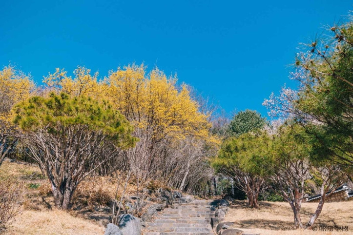 대전 회덕 동춘당 여행 추천 - 메고지고