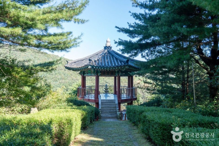 고운식물원 여행 추천 - 메고지고