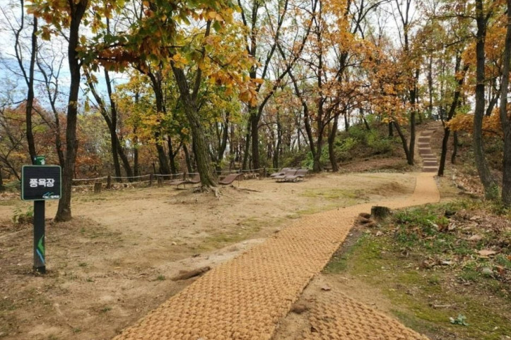 자일산림욕장 여행 추천 - 메고지고