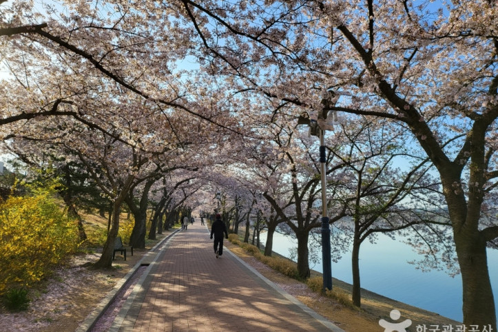 보문호 여행 추천 - 메고지고