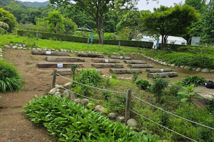 과천야생화자연학습장 여행 추천 - 메고지고