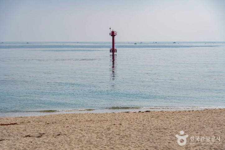 봉포해변 여행 추천 - 메고지고