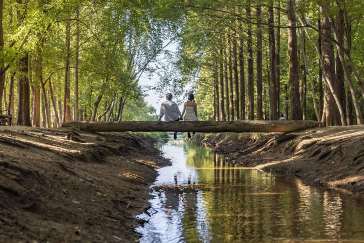 경북천년숲정원 여행 추천 - 메고지고