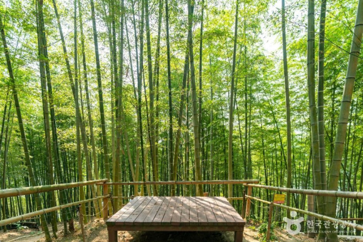 거제맹종죽테마공원 여행 추천 - 메고지고
