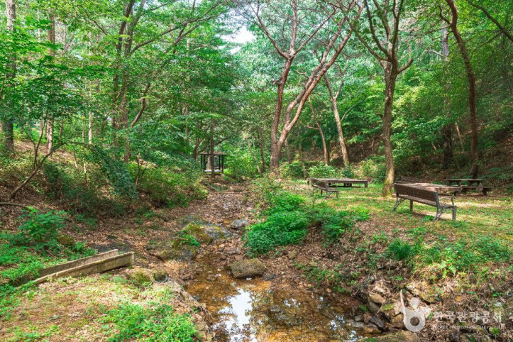 문수산산림욕장 여행 추천 - 메고지고