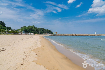 동산항 여행 추천 - 메고지고