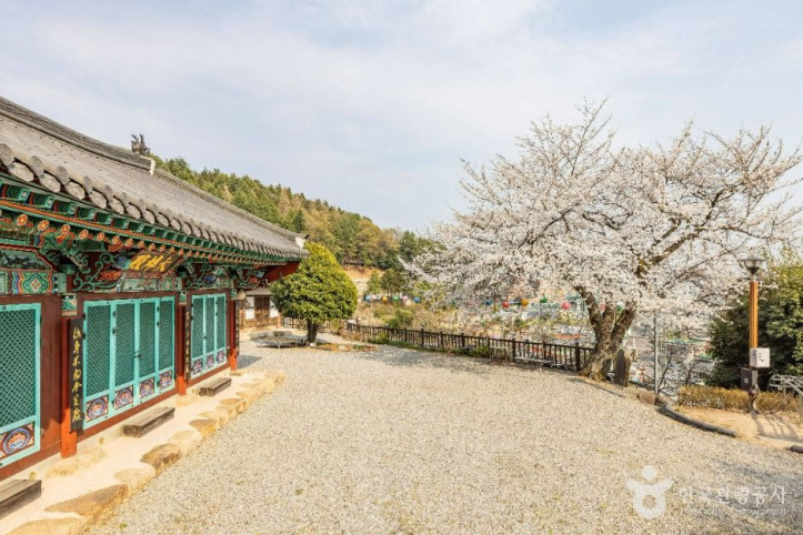 흥륜사(순천) 여행 추천 - 메고지고