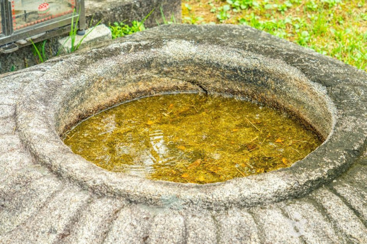 안성죽산리석불입상 여행 추천 - 메고지고