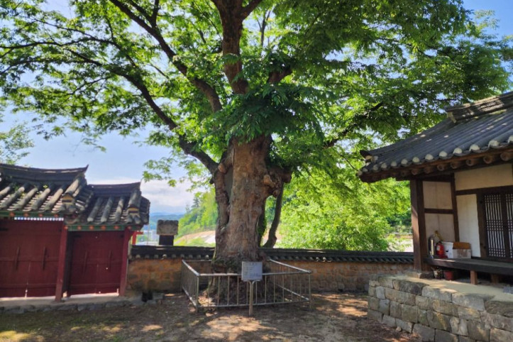 파주향교 여행 추천 - 메고지고