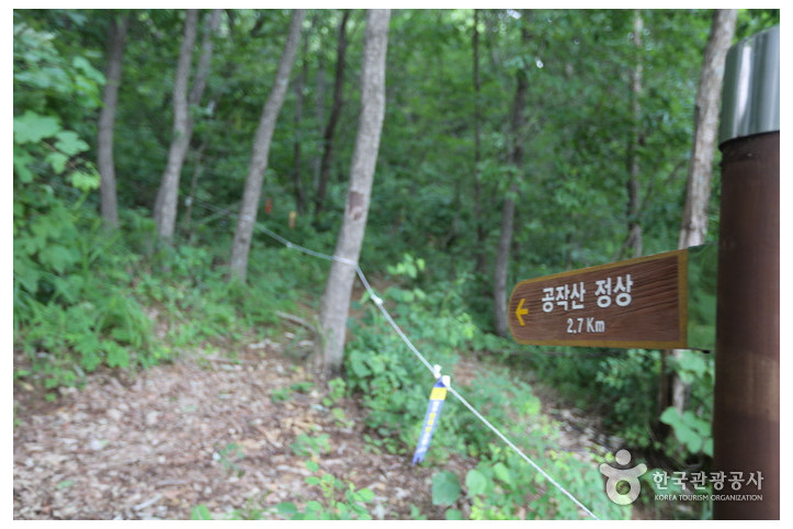 공작산 여행 추천 - 메고지고