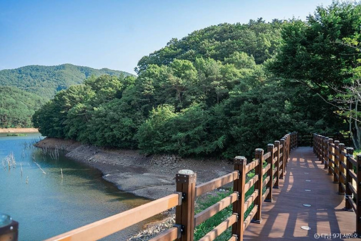 제암산자연휴양림 여행 추천 - 메고지고