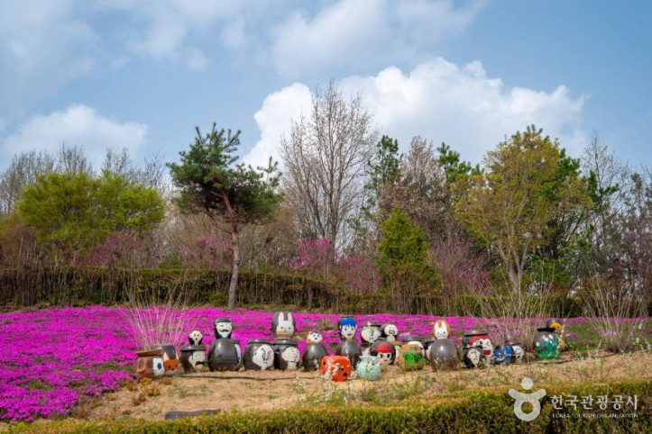 진안 꽃잔디동산 여행 추천 - 메고지고