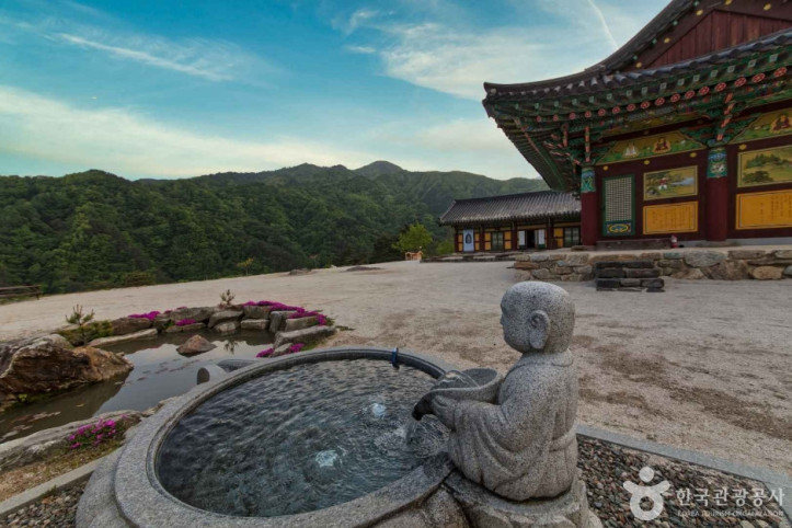 진전사 여행 추천 - 메고지고