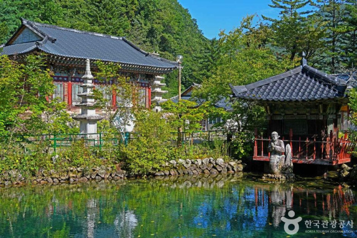청원사(태백) 여행 추천 - 메고지고