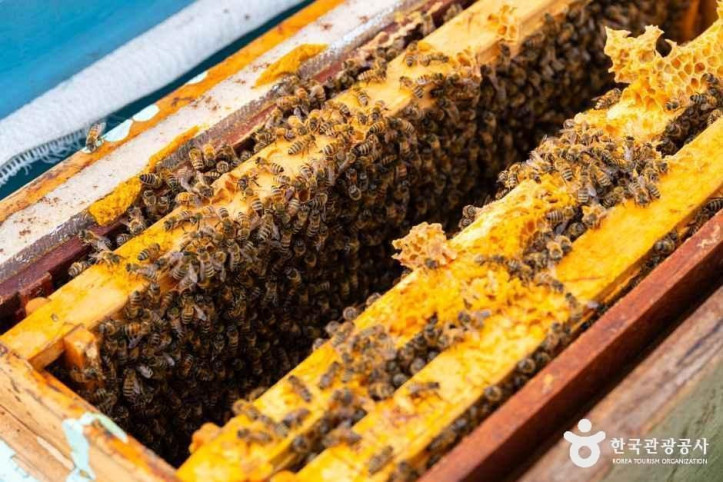 해밀당 여행 추천 - 메고지고
