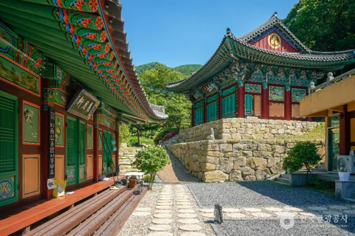용문사(대구) 여행 추천 - 메고지고