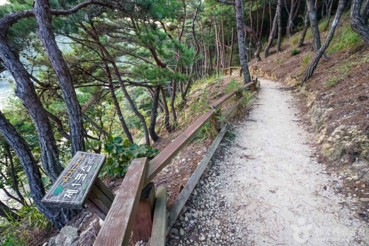 저도(창원) 여행 추천 - 메고지고