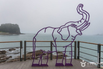 코끼리바위(사천) 여행 추천 - 메고지고