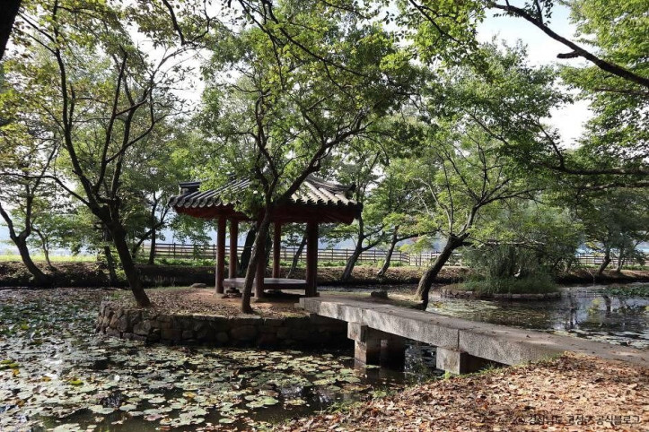 고성 장산숲 여행 추천 - 메고지고