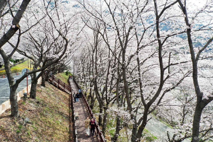 안태공원 여행 추천 - 메고지고