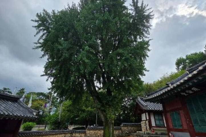 교하향교 여행 추천 - 메고지고