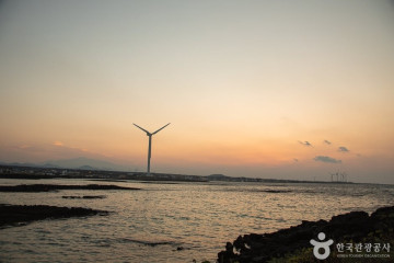 월정리해변(월정리해수욕장) 여행 추천 - 메고지고
