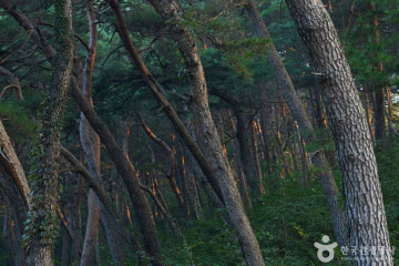 고로서원 여행 추천 - 메고지고