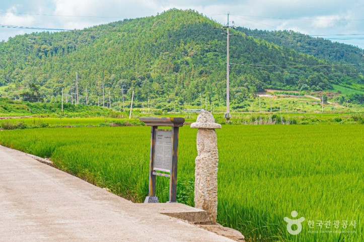 무안발산마을미륵당산 여행 추천 - 메고지고