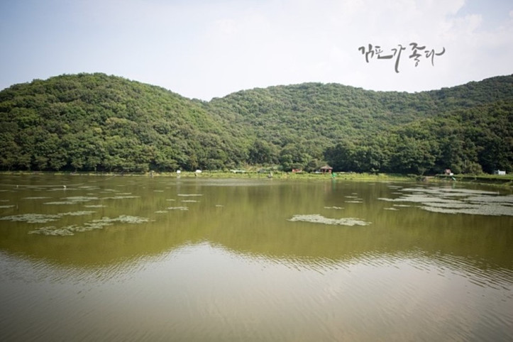 조강저수지 여행 추천 - 메고지고